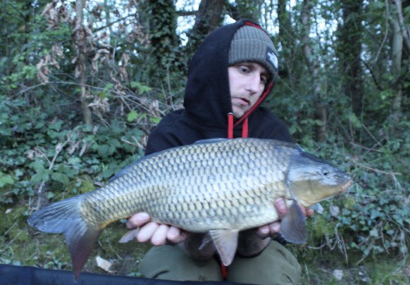 It’s great to see some of the old warriors and a new stockie Common come out of your local lake. Consultant Kyle Hemingway bagging a few of his last session. #carpfishing #karperltd