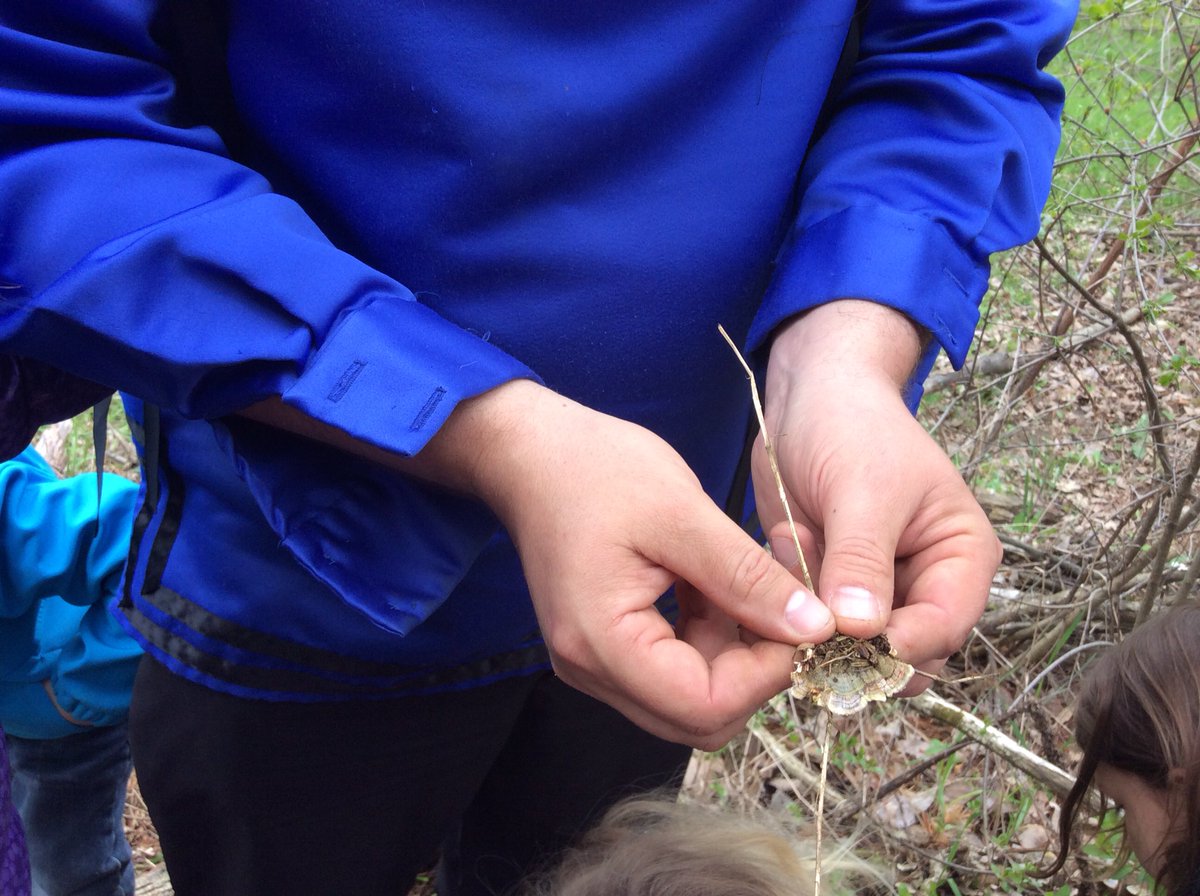 msekinderland's tweet photo. We thank David Finkle for teaching us about the beauty that comes with โnew lifeโ. We are grateful for the opportunities to learn about โMother Earthโ in our own community. @alcdsb_name @ALCDSB_Kinder @OECTAProv #outdoorlearningforkids https://t.co/Gxdb39uaIP