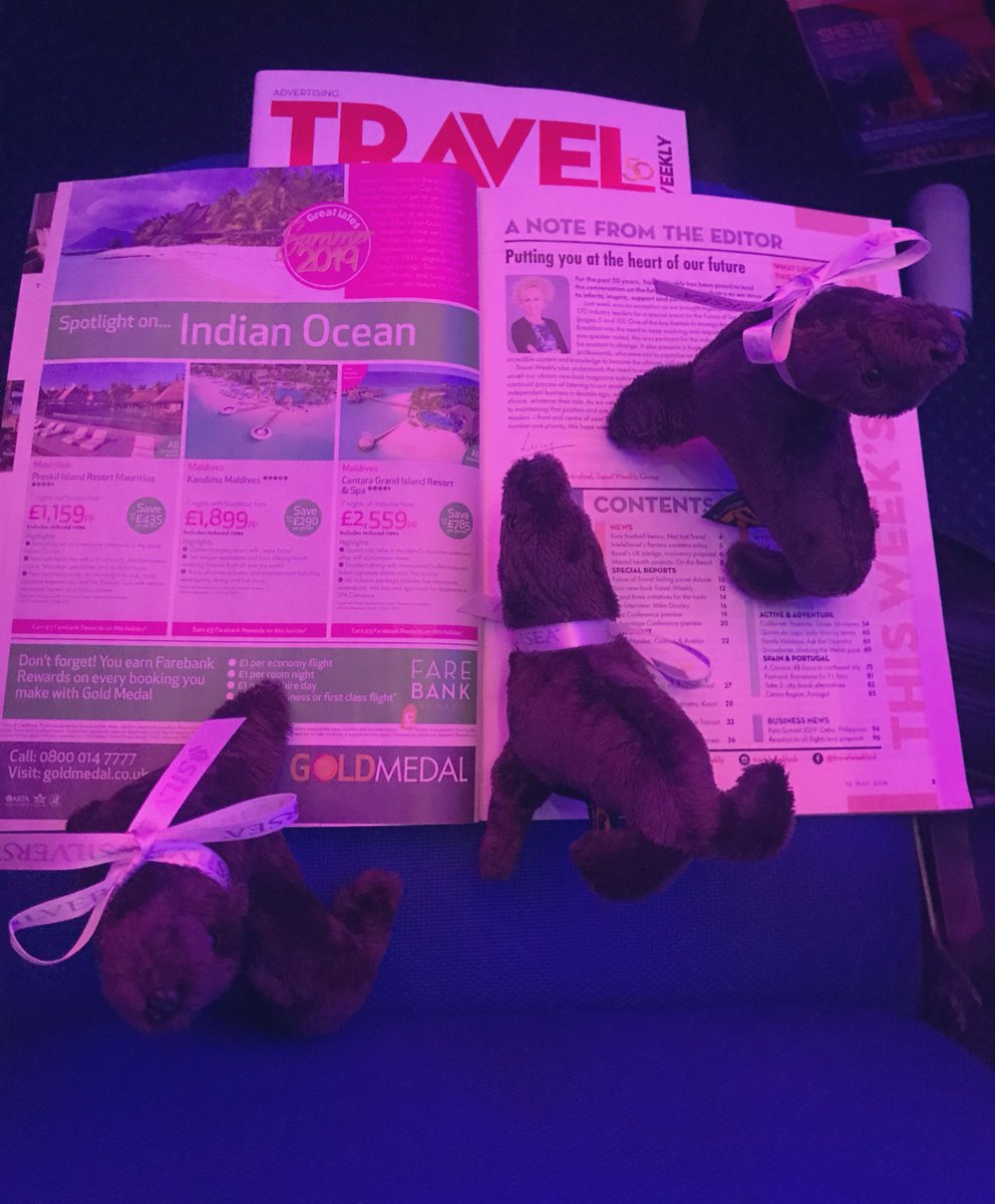 Image posted by CruiseRoomEire to twitter