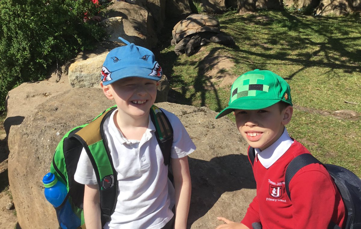 TJPrimary's tweet photo. Year 3 had an amazing day at @TwycrossZoo looking at lots of different animals and enjoying a workshop about biodiversity conservation #TJTopic #TJEnrich https://t.co/qaUwwCfnp8