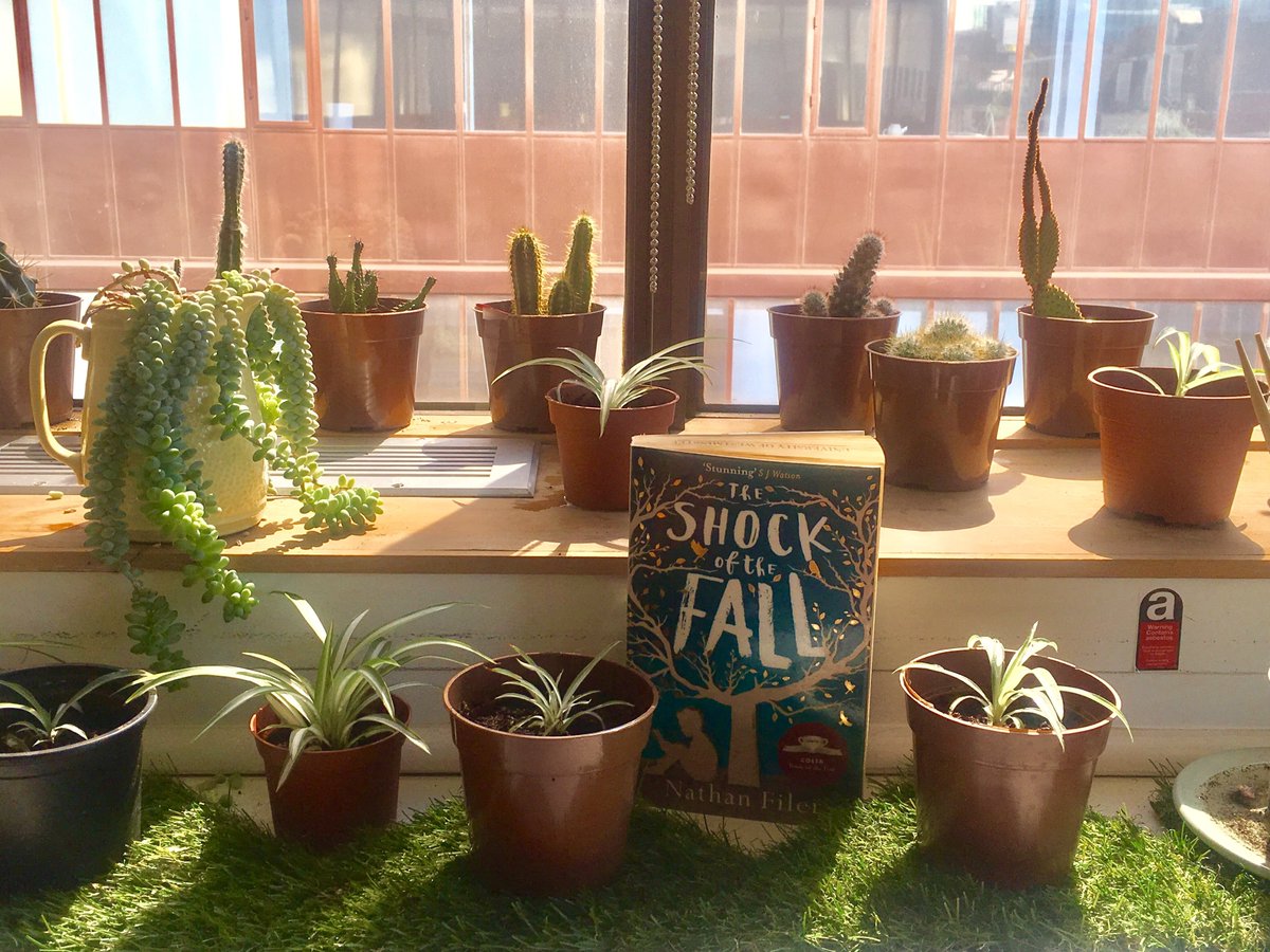 UniWestLib's tweet image. Our #greenlibrary enjoying some afternoon sun...

#greeningthelibrary #plants #spring #library #librarydays #mentalhealthawarenessweek #uniwestlib #brightspark