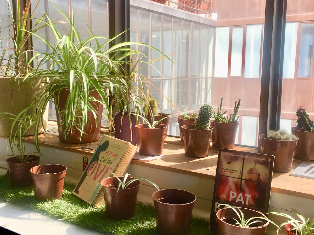 UniWestLib's tweet image. Our #greenlibrary enjoying some afternoon sun...

#greeningthelibrary #plants #spring #library #librarydays #mentalhealthawarenessweek #uniwestlib #brightspark