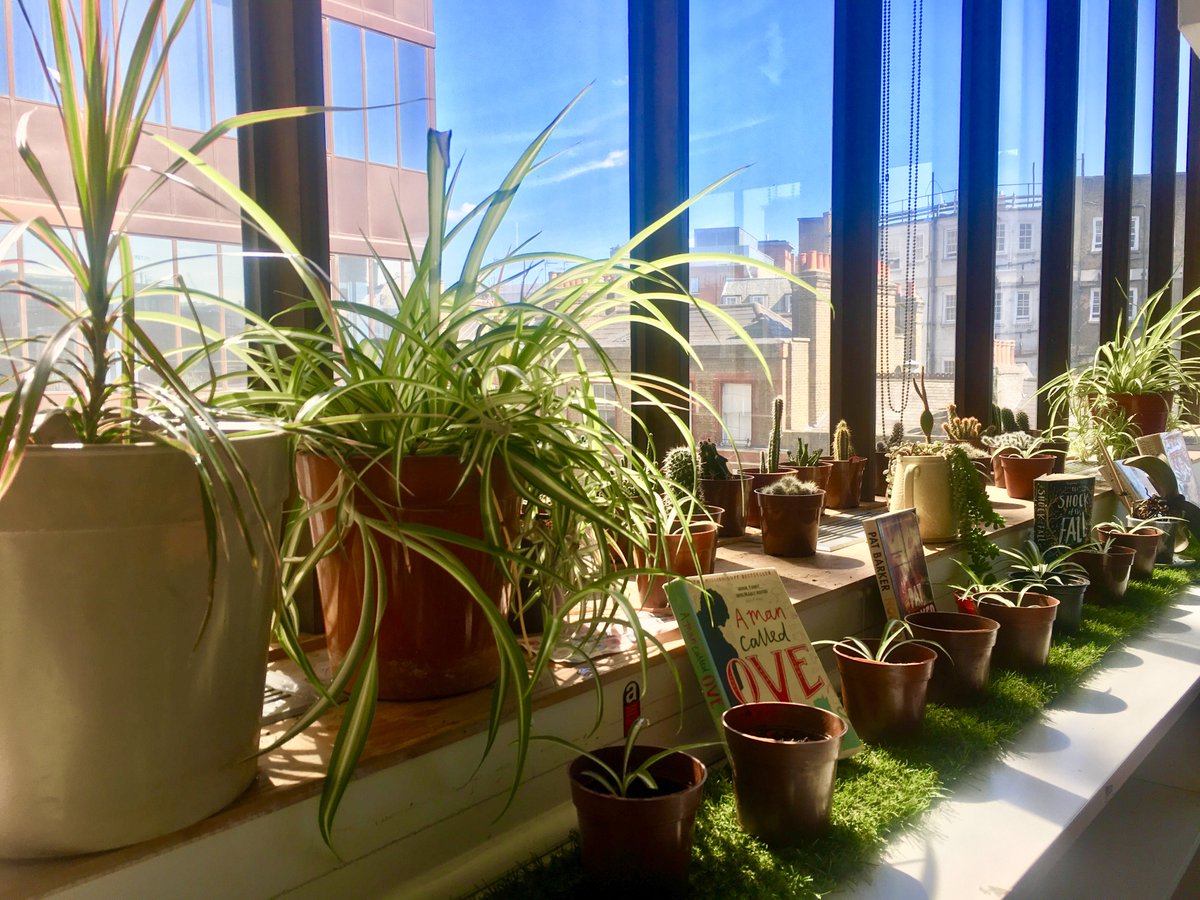 UniWestLib's tweet image. Our #greenlibrary enjoying some afternoon sun...

#greeningthelibrary #plants #spring #library #librarydays #mentalhealthawarenessweek #uniwestlib #brightspark