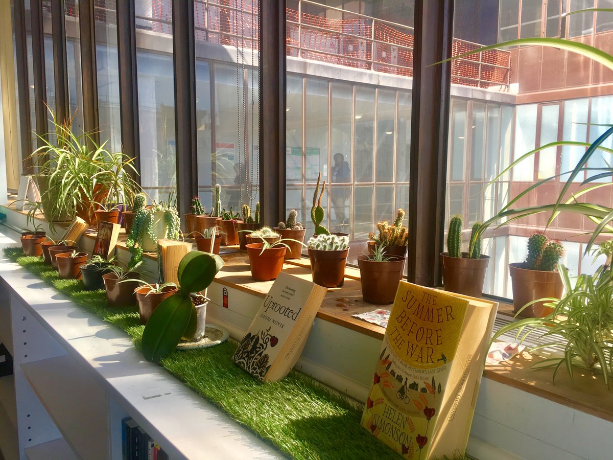 UniWestLib's tweet image. Our #greenlibrary enjoying some afternoon sun...

#greeningthelibrary #plants #spring #library #librarydays #mentalhealthawarenessweek #uniwestlib #brightspark