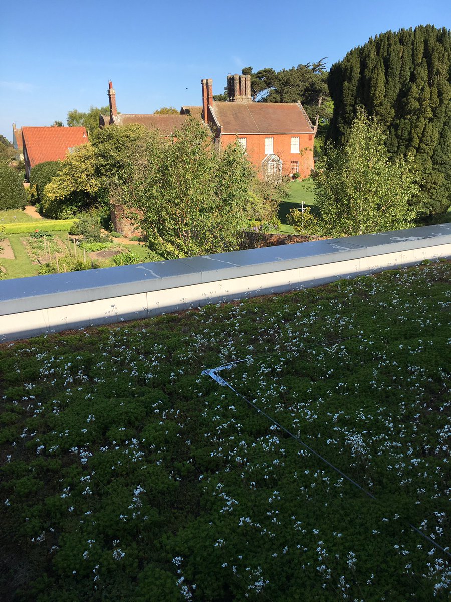 urbangreeningco's tweet image. Beautiful saxifraga on the Britten pears foundation in Suffolk today  with the red house in view #brittenpears #benjaminbritten #peterpears #aldeburgh #suffolk #greenroof #green #saxifraga #sedum #sedumroof #plants
