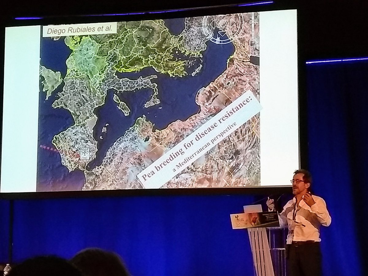 PlantxL's tweet photo. 2019 @iclgg edition is reaching the end with @DiegoRubiales_ interesting presentation on pea pest/disease resistance. Bye bye Dijon, Hello Poznan @ILS36 .Next stop for @PlantxL @itqbunl legume research fortnight tour https://t.co/XgFqvNRJil