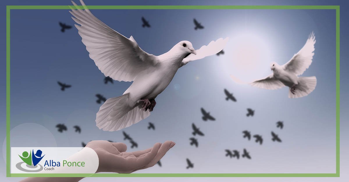 AlbaPonceCoach's tweet photo. Hoy se celebra el Día Internacional de la Convivencia en Paz. 

Está en nosotros eliminar cualquier forma de discriminación e intolerancia en nuestra vida diaria.

#FelizJueves https://t.co/wIdBXiS5eg