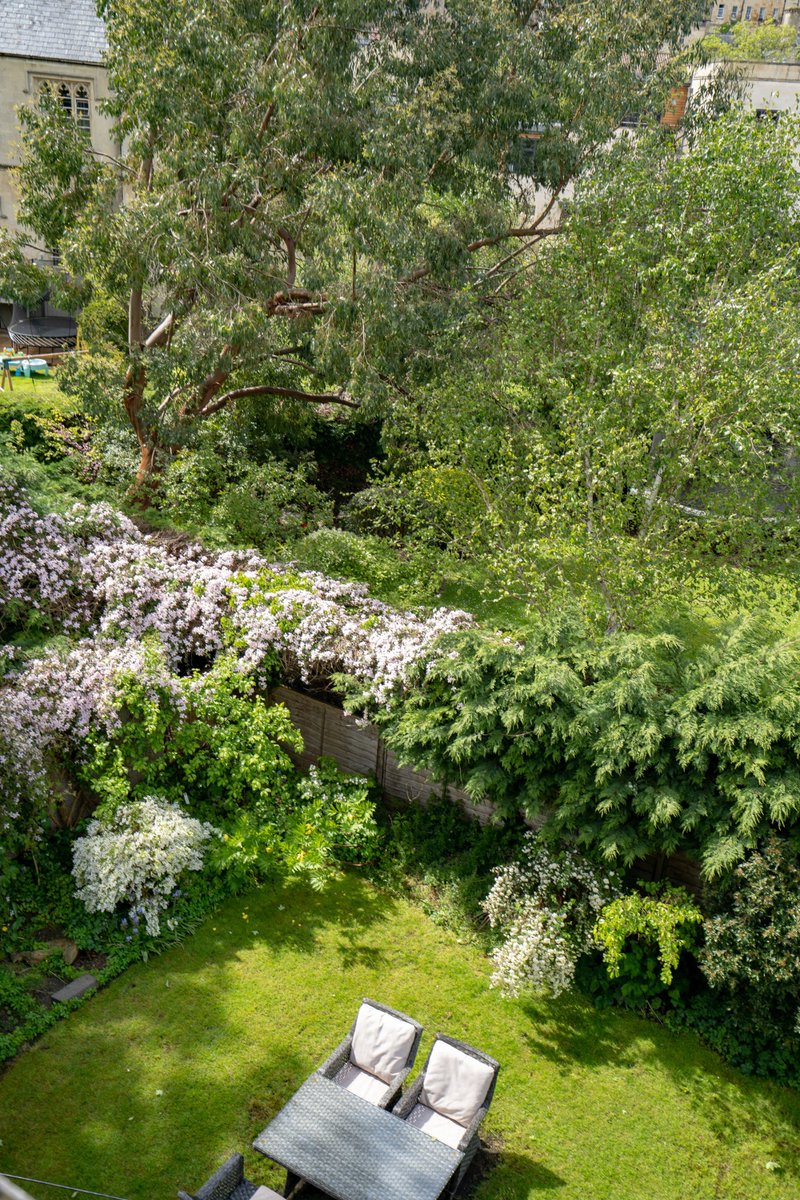 Our garden is in full blossom, why not stop by for a spot of tea in the garden.