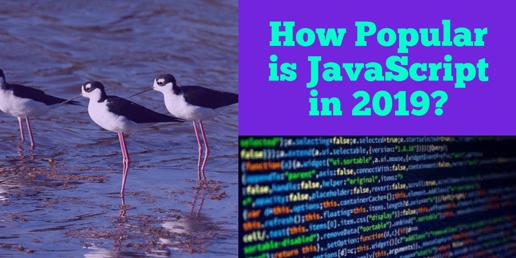 Getw1th's tweet image. JavaScript is the standard programming language of the web, and the #software you write with #JavaScript will be usable by everybody. bit.ly/2w2tfZy @_ericelliott #JavaScriptLanguage #programminglanguage