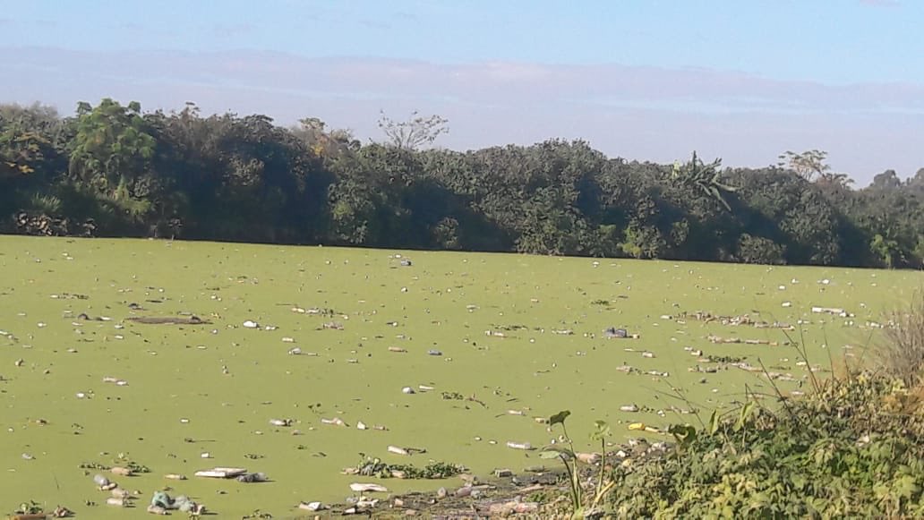 lau_abalo13's tweet image. Y hoy la Pista Nacional de Remo y el Río Reconquista se encuentra así: lleno de basura flotante y cianobacterias. Y saben que? A NADIE LE IMPORTA! Nadie hace nada!