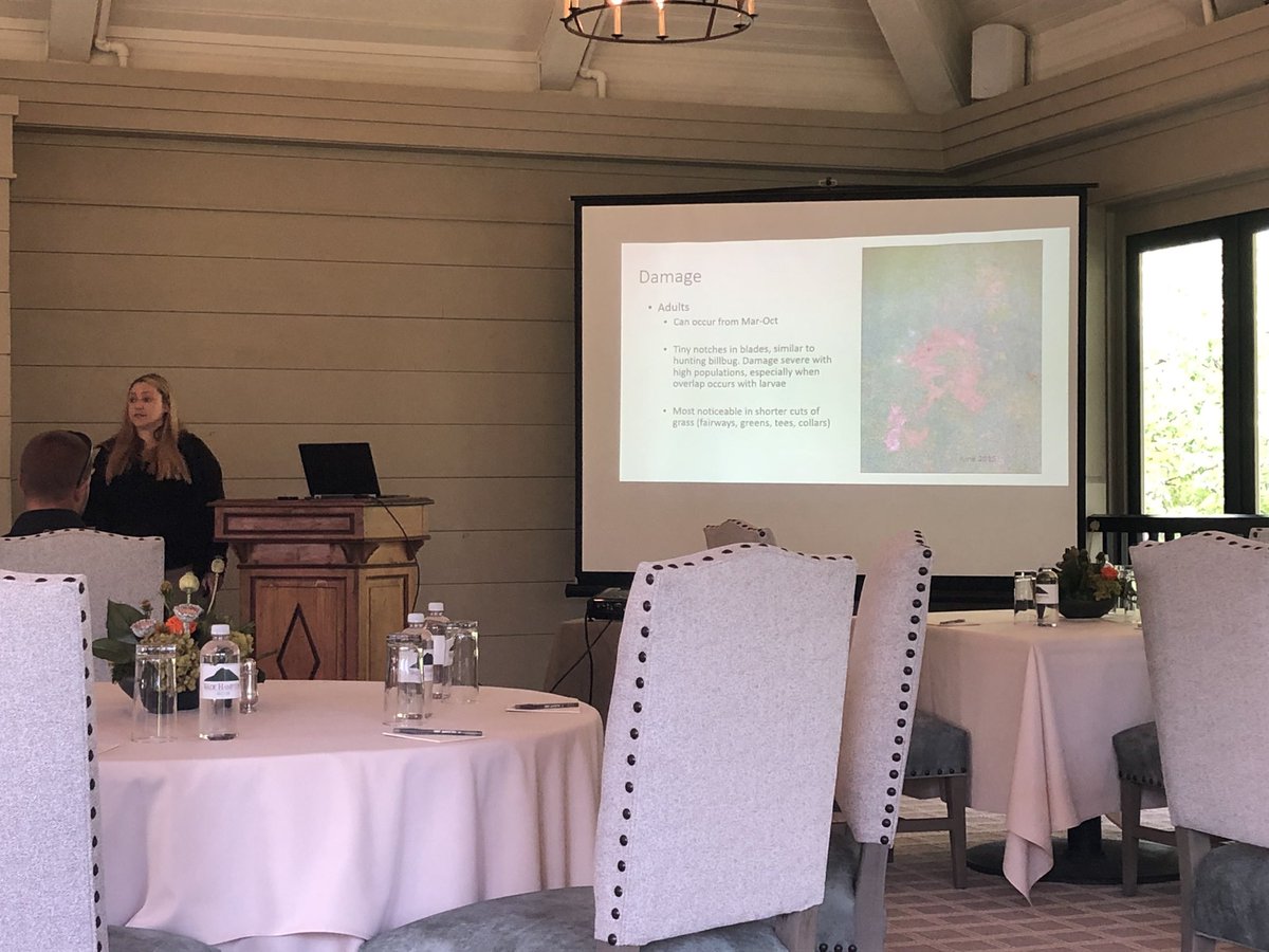 pete_signoretti's tweet photo. A big thanks to @SyngentaTurf &amp; Wade Hampton for their hospitality at yesterday’s #evilweevil meeting.
#abw #annualbluegrassweevil https://t.co/gwMuGPNjL8