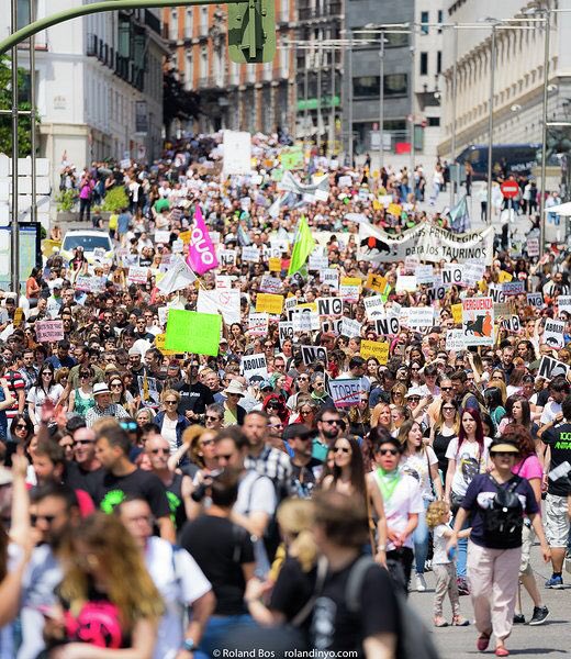 TauromaquiaViolencia tweet media