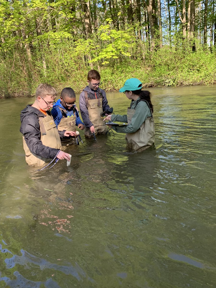 Team4UVMS's tweet photo. Stream study fun! 🔍🦠🔬@uvmsnews https://t.co/hoR88IVA19