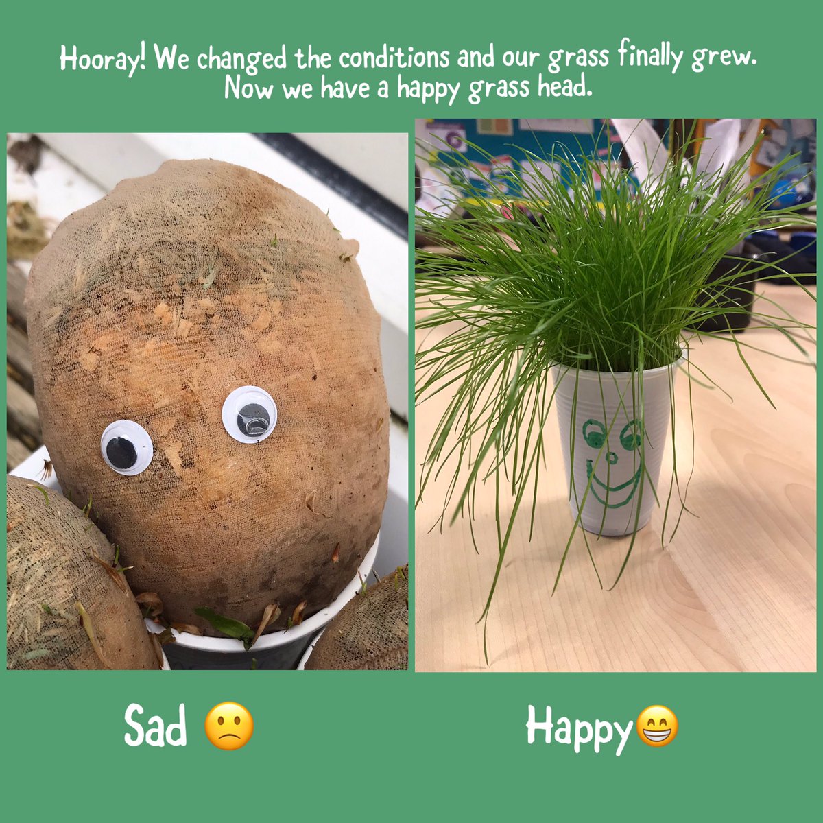 StPaulsBolton's tweet photo. Hooray! Year one worked out how to make the grass seeds grow. Great job! ๐๐ผ#makingandtestingpredictions #year1lovescience #growingplants #STEM https://t.co/UVFooDtVty