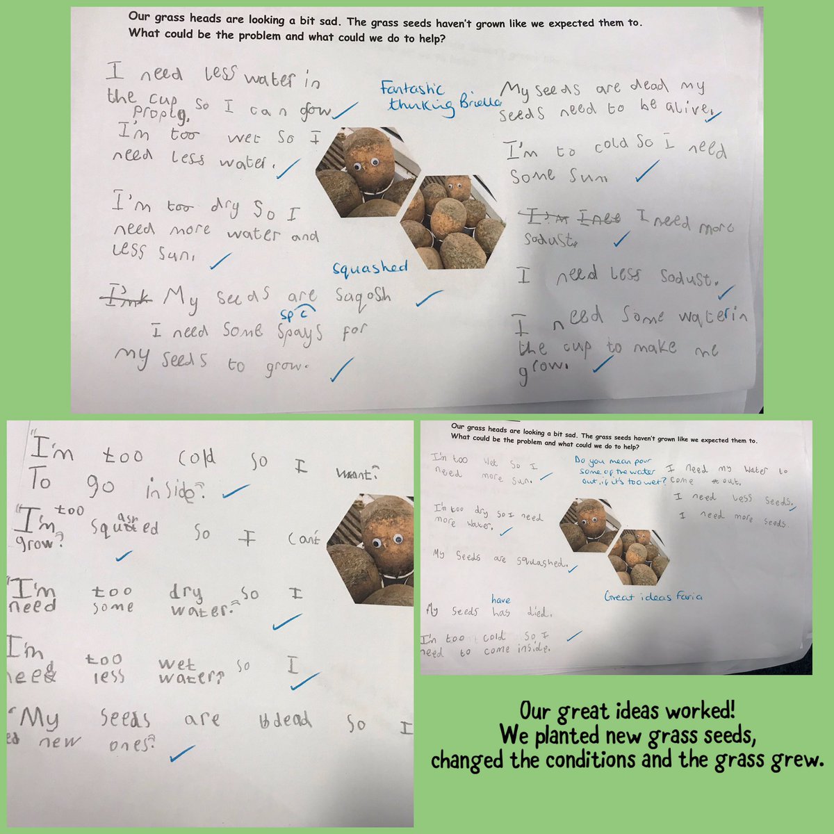 StPaulsBolton's tweet photo. Hooray! Year one worked out how to make the grass seeds grow. Great job! ๐๐ผ#makingandtestingpredictions #year1lovescience #growingplants #STEM https://t.co/UVFooDtVty