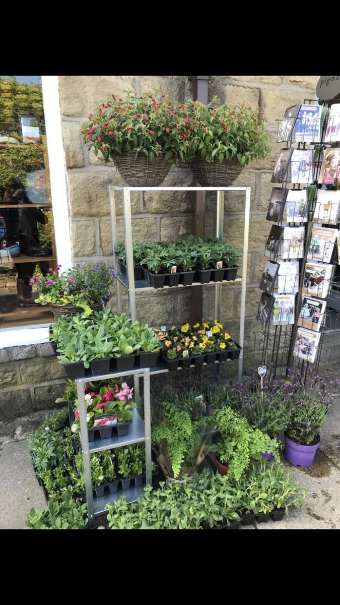 Lots of bedding plants/hanging baskets arriving daily. #Ilkley #localflorist #Plants #Yorkshire