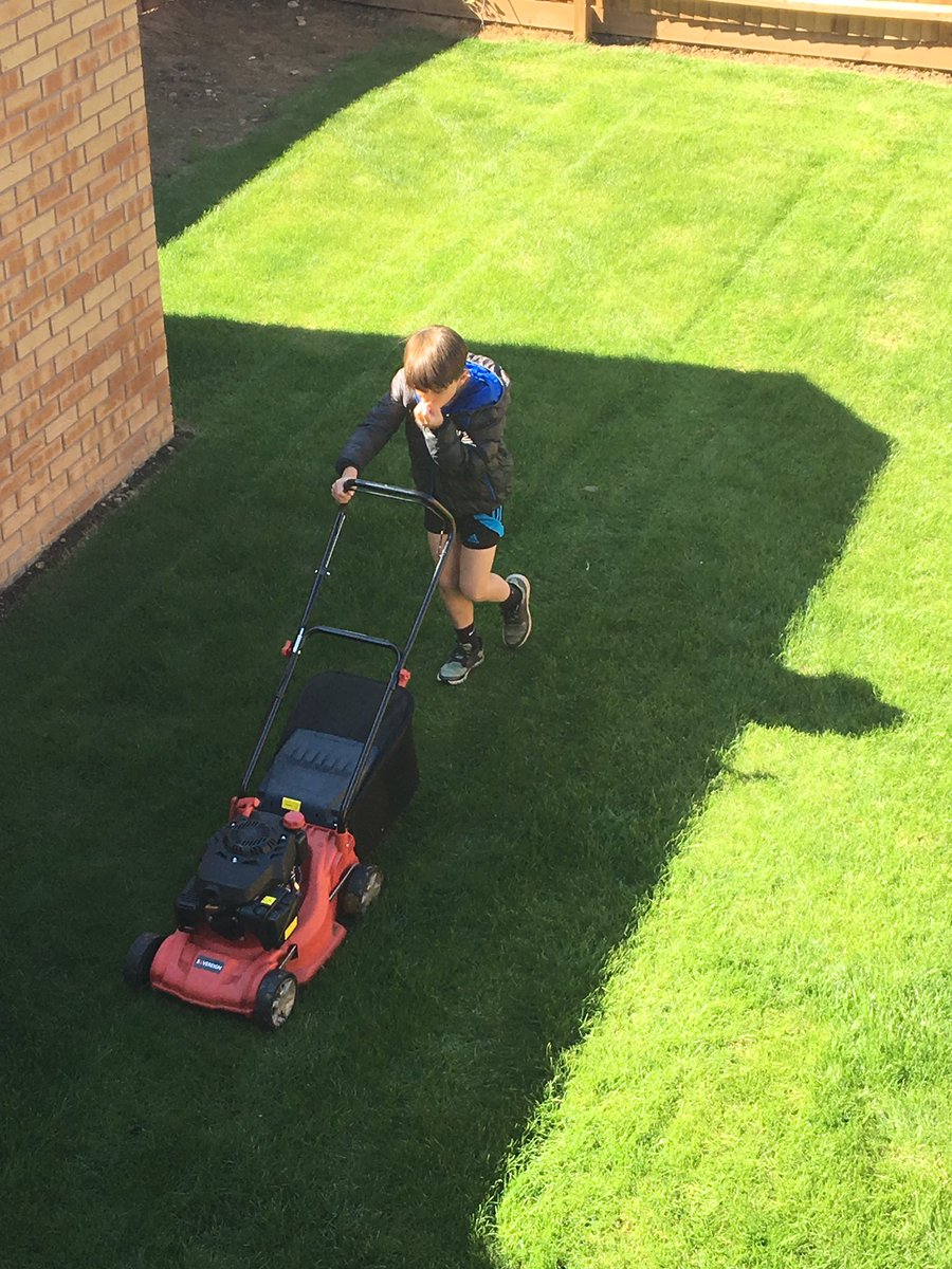 johnwhutton's tweet image. Best form of child labour 😜👍 #grasscutter #lawncare #childlabour