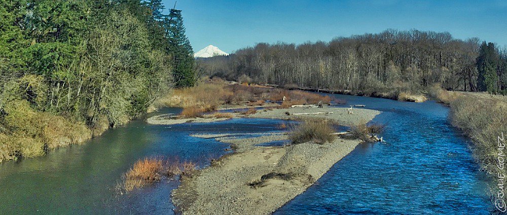 mountains, trees, and water
aromas of spring spice 
along the riverbank 

#haiku #MolallaRiver #MtHood #CanbyOregon #iphoneography