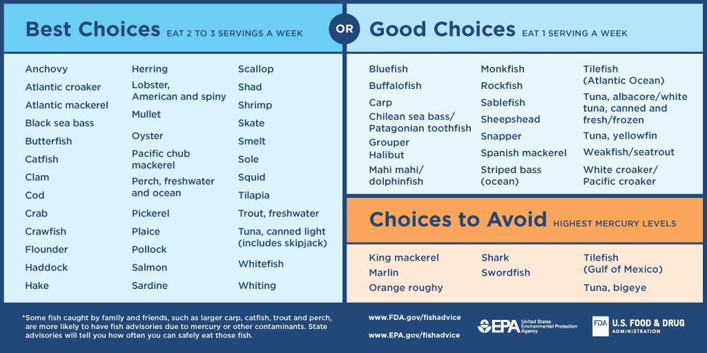 Fish During Pregnancy Chart