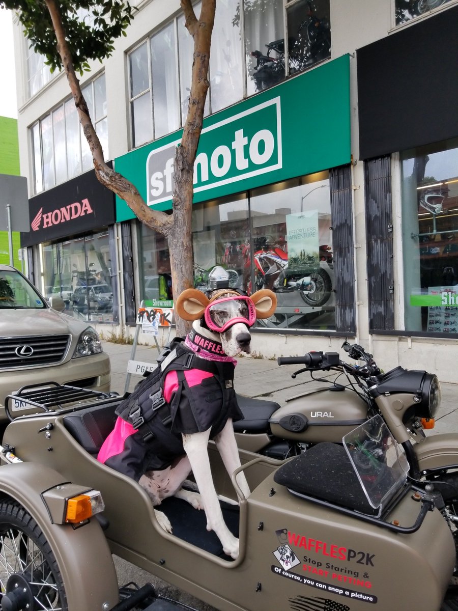 @WafflesP2K <a href="/uralmotorcycles/">Ural Motorcycles</a> <a href="/SF_Moto/">SF Moto</a> Had a visit from WAFFLES and Ryan yesterday. What a treat to meet these two!! Thanks for stopping by! #ThursdayMotivation #ThursdayThoughts #thursdayvibes