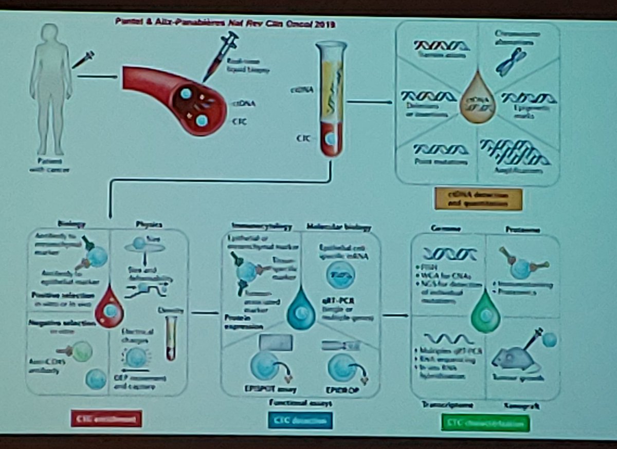 panchali_sarmah's tweet photo. So many areas for research in liquid biopsies! Courtesy of Klaus Pantel @EACRnews #LiBi19 https://t.co/E0uAxBPPlo