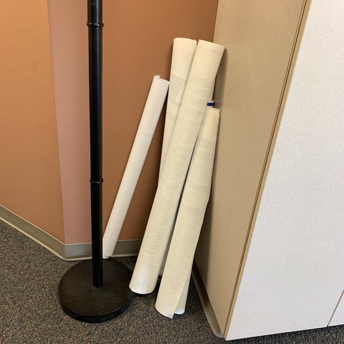 Speech and Applied Neuroscience Lab tweet media