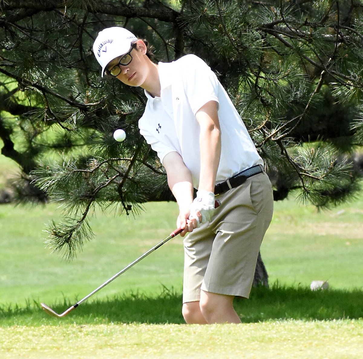 BOYS GOLF: Our photo gallery from the Oakland County Championship on Wednesday bit.ly/2HlGsTu