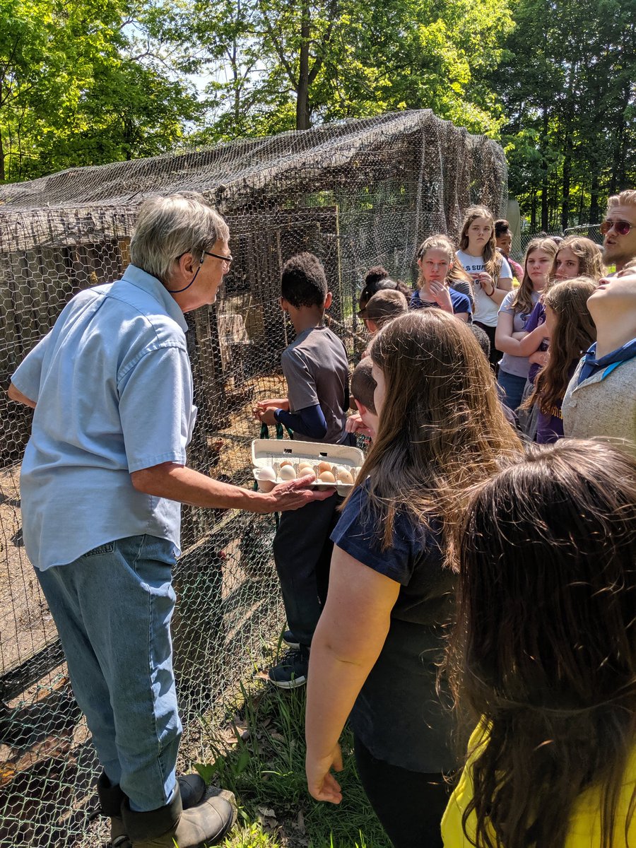 BesslerMegan's tweet photo. @r_nied why don't we have a chicken swing?? @BR_STEM students feeding sheep and the chickens. #REYNproud #STEMester2019 https://t.co/gbfpbfAxnT