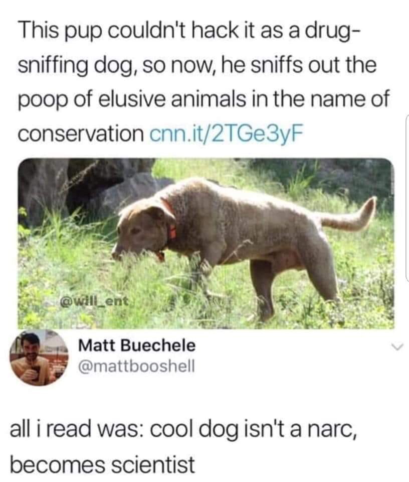 TRHLofficial's tweet photo. This good boi ain’t no snitch. https://t.co/f6dZeGuVfw