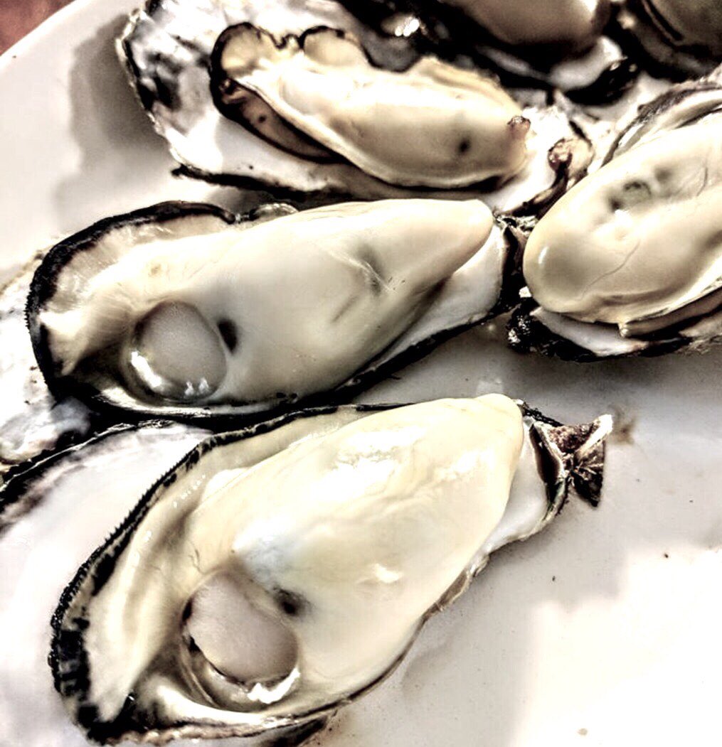 hct@暗号資産 (@hctCryptoAsset) / Posts / X