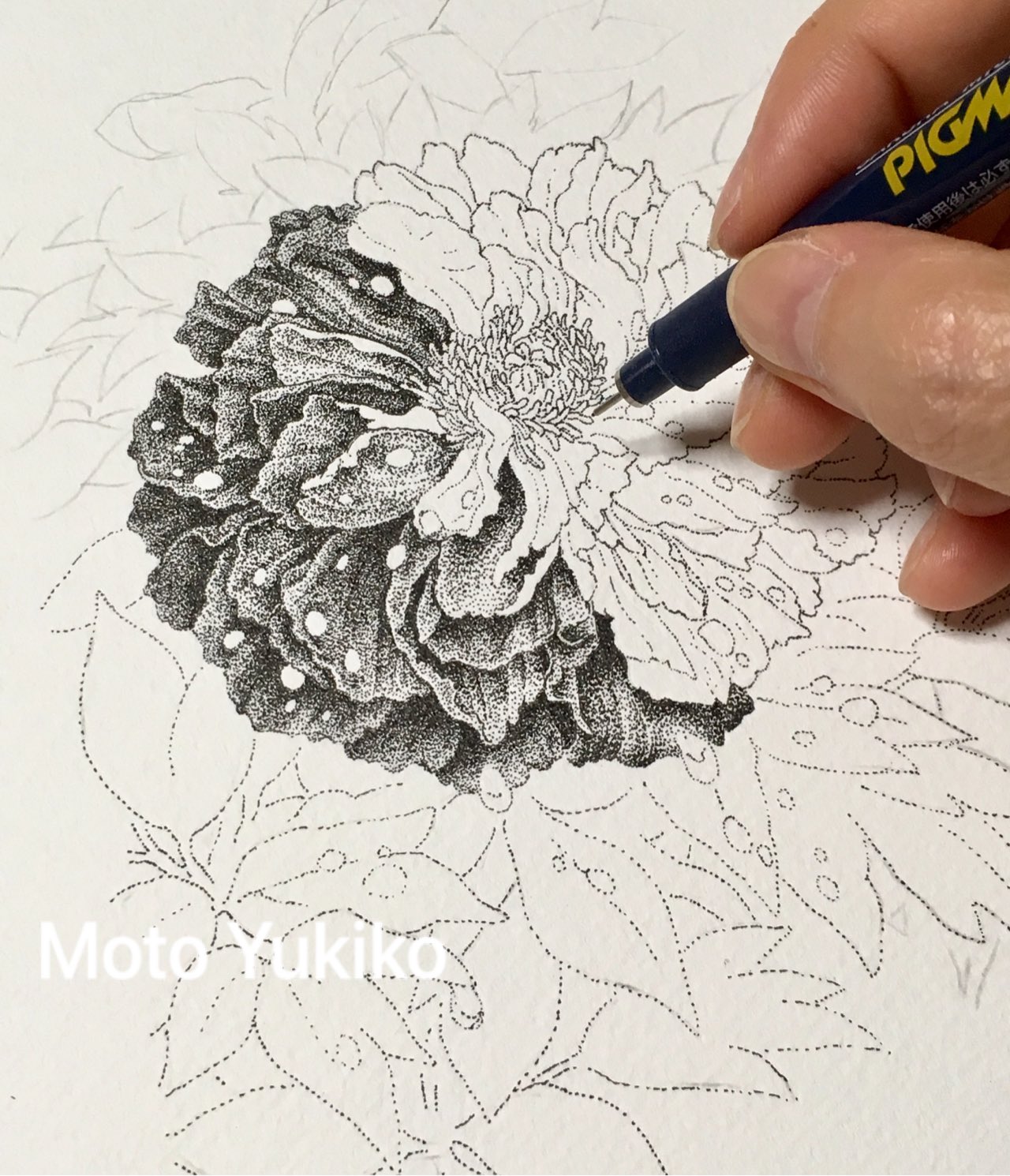 もとゆきこ ペン画 あ 12時過ぎちゃった 今日はここまで どんなにノッていても 時間は守るのです 皆さん おやすみなさい 牡丹 ペン画 細密画 0 05ミリペン 個展 花と鳥 大阪市 都島区 ギャラリー 花音 令和 元年 楽しんでいこう もとゆきこ ペン画 あ 12時過ぎちゃった 今日はここまで どんなにノッていても 時間は守るのです 皆さん おやすみなさい 牡丹 ペン画 細密画 0 05ミリペン 個展 花と鳥 大阪市 都島区 ギャラリー 花音 令和 元年 楽しんでいこう