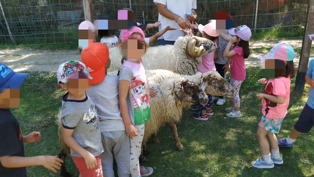 Después del 🚜, hemos ido a ver y a dar de comer a las ovejas 🐑, las cabras 🐏 y a la vaca 🐄 <a href="/SaraHbst_infant/">Sara</a> <a href="/RaquelHBST/">RaquelHBST</a> <a href="/nazahbst/">NAZAHBST</a> <a href="/olgaHBST/">Profe Olga</a>