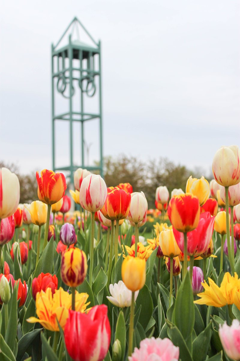 DiscoverAmesIA's tweet photo. To celebrate National Public Gardens Week, @ReimanGardensIA is offering FREE ADMISSION all day Friday, May 17! Walk around the gardens, check out the butterfly exhibit, &amp; interact with a Meet-A-Scientist program to get up close and personal with science (10am-2pm)! #CYtesofAmes https://t.co/z102uzAQjU
