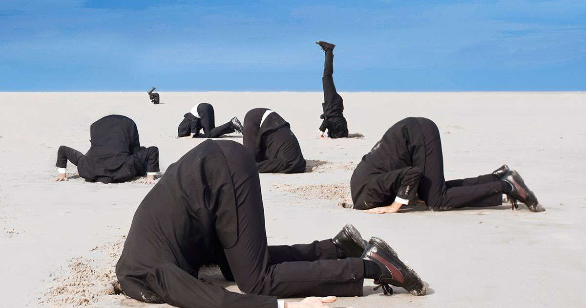 Real-Politics tweet media