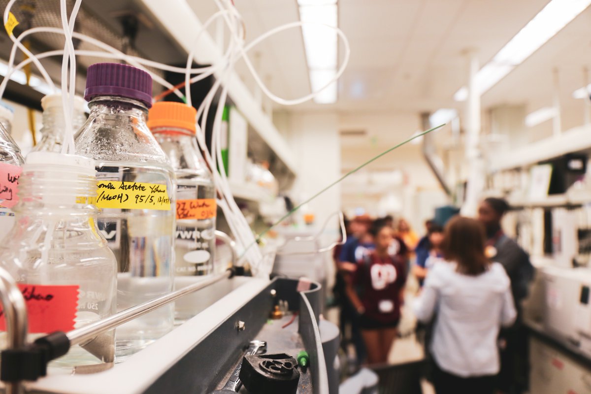 COMPUGIRLS tweet media