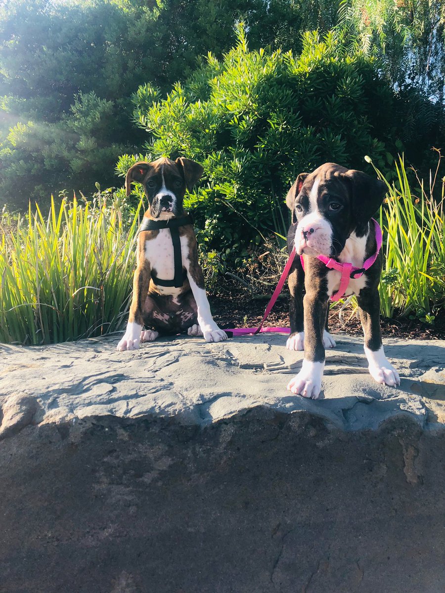 izzy ⍟ tweet media