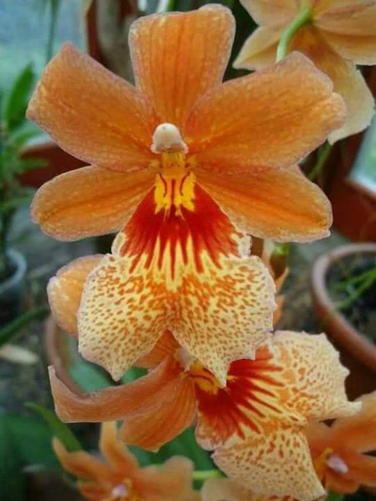 74ceff6b903445b's tweet photo. Good night dear friends... 😴 https://t.co/3Qq3x3K9Rh