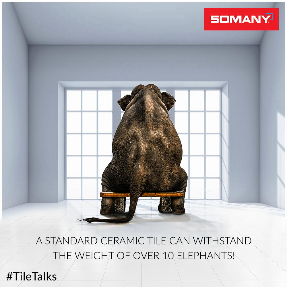 SomanyCeramic's tweet photo. Ceramic tiles are great for interior design & also famed for their strength and durability. A ceramic tile can easily withstand compressive pressure of 500MPa, which is over 10 elephants! #Somany brings this amazing strength & great design, to your interiors & beyond.
#TileTalks https://t.co/fn1VHkYL9K