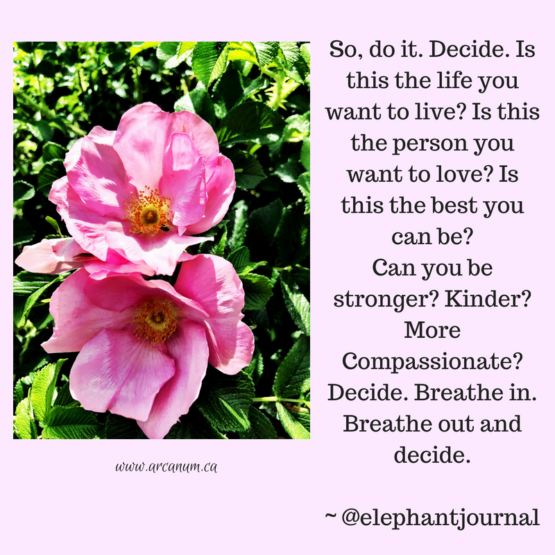 DrEddyClinic's tweet photo. RT @amcquinn: So do it. Decide. #sodoit #decide #become #beingnotdoing #compassionate #dontsettlefor #stepup #shockthemonkey #changejobs #findresonance #move #yourenotatree #changegeography #breathe #functionalmedicine #heilkunst #homeopathy https://t.co/KMpD8IIlTv