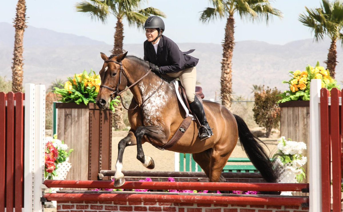"I know it’s only a difference of 3-6” inches, but wide oxers give me anxiety. I don’t want to punish my horse if I miss a distance."

The mental barrier between jumping "little jumps" and the “real” divisions can be huge. 

Relatable? 👉theplaidhorse.com/2019/05/06/her… via @plaidhorsemag