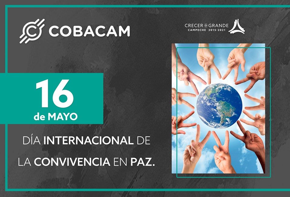cobacamoficial's tweet photo. En el Día Internacional de la Convivencia en Paz, resaltamos la importancia de fortificar la tolerancia, el respeto absoluto a los Derechos Humanos e impugnar cualquier signo de discriminación. https://t.co/uFUdbQjwGh