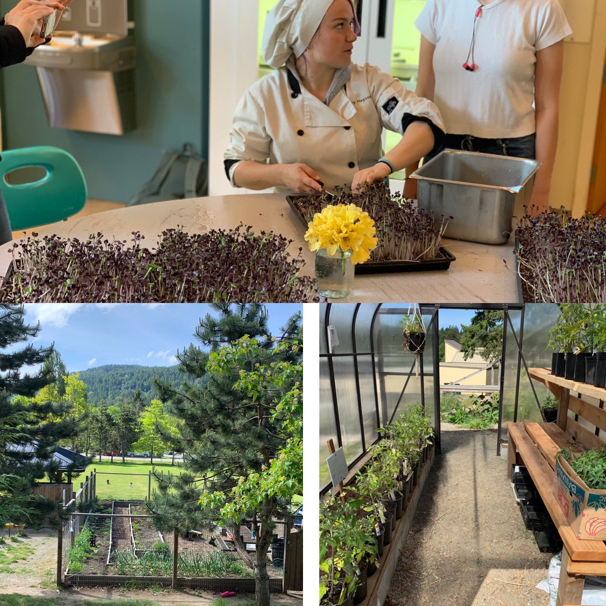 So grateful for the opportunity to visit Salt Spring Island and witness the great work in the community with respect to school gardens and community food security networks.#F2SConferenceCanada19