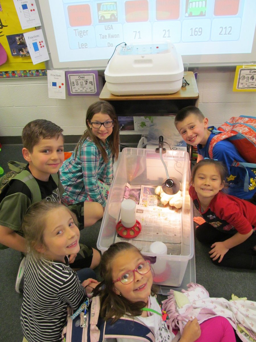 BethHalterman's tweet photo. Geometry 3D construction, Chick 🐤📖Book Buddies, Reading our writing projects to our 🐥team, and just some Chick Chill'n at buses! Lots of EGGcellent learning.   #RESLearnLeadSucceed #RockstarLearning https://t.co/9HTKIvB03i