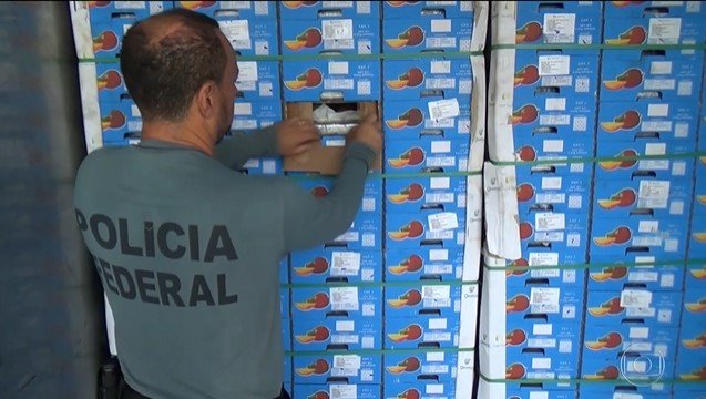 SEGPORTEMFOCO's tweet photo. PF APREENDE 1 TONELADA DE COCAÍNA EM CARGA DE MANGAS NO PORTO DE NATAL
Destino do carregamento era a Europa.
#portodenatal #codern #policiafederal #receitafederal #narcotrafico #Trafico #traficodedrogas #traficointernacional
https://t.co/SXsLlWwTLf https://t.co/5lnMuiojyy