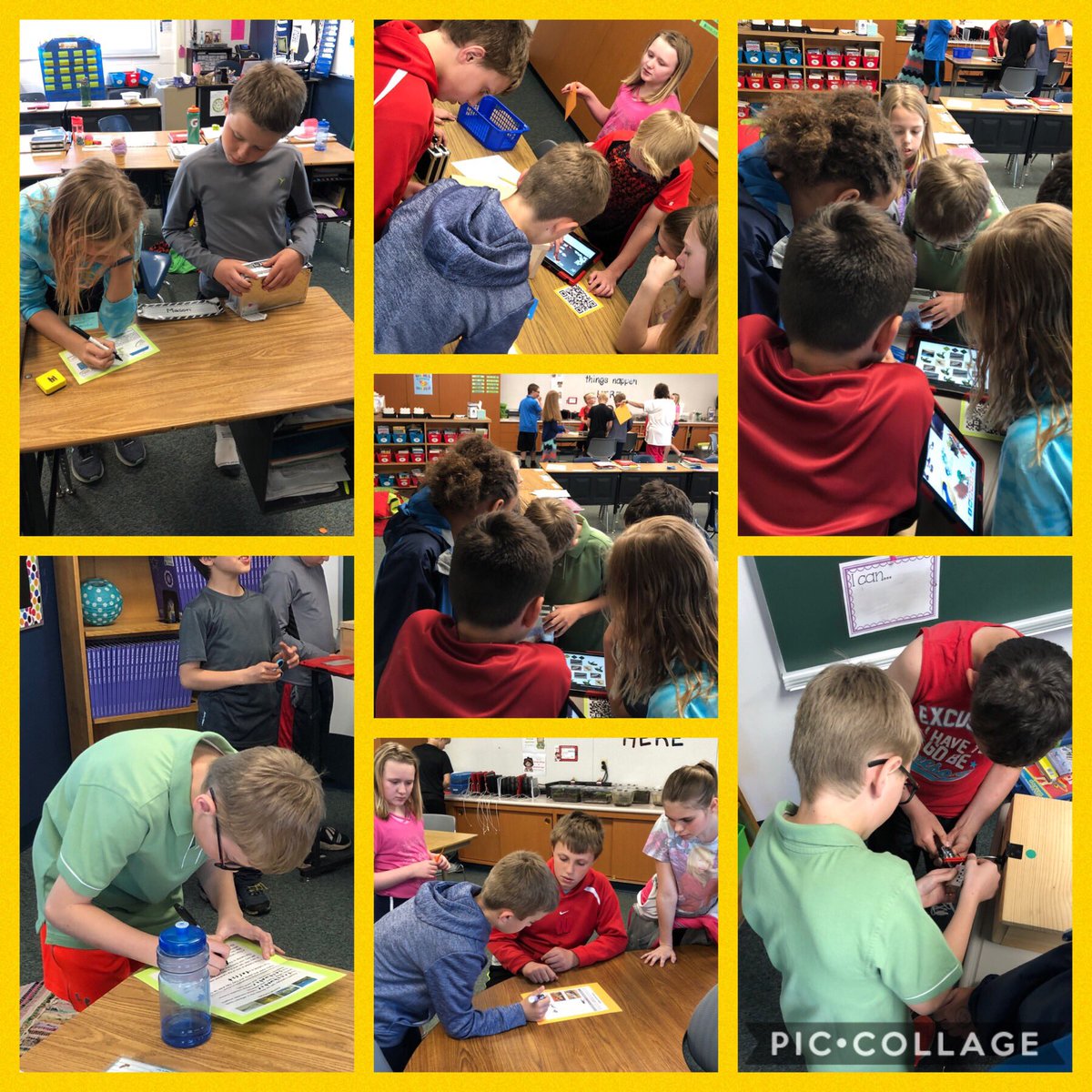 Today these #raiderstrong fourth graders used their knowledge from our Animal Studies unit to successfully complete a Breakout! <a href="/smalchow/">Sara Malchow 👩🏻‍💻🐾 / 🚘 #ISTELive24</a> <a href="/PCSD_LN/">Lannoye Elementary</a>