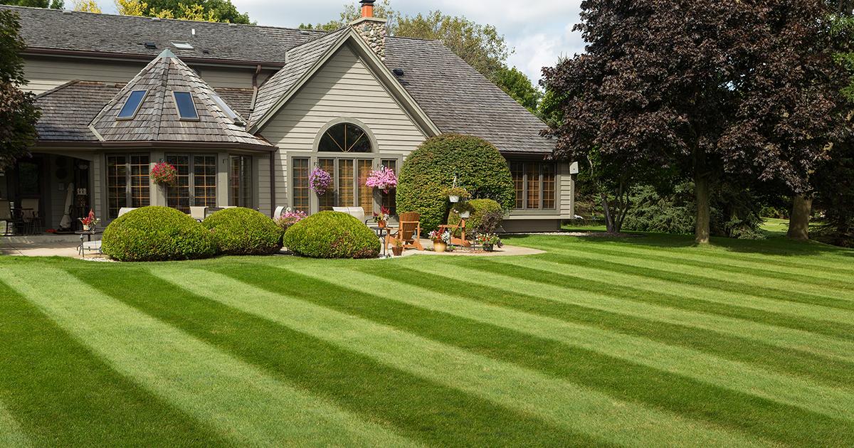SimplicityMower tweet picture