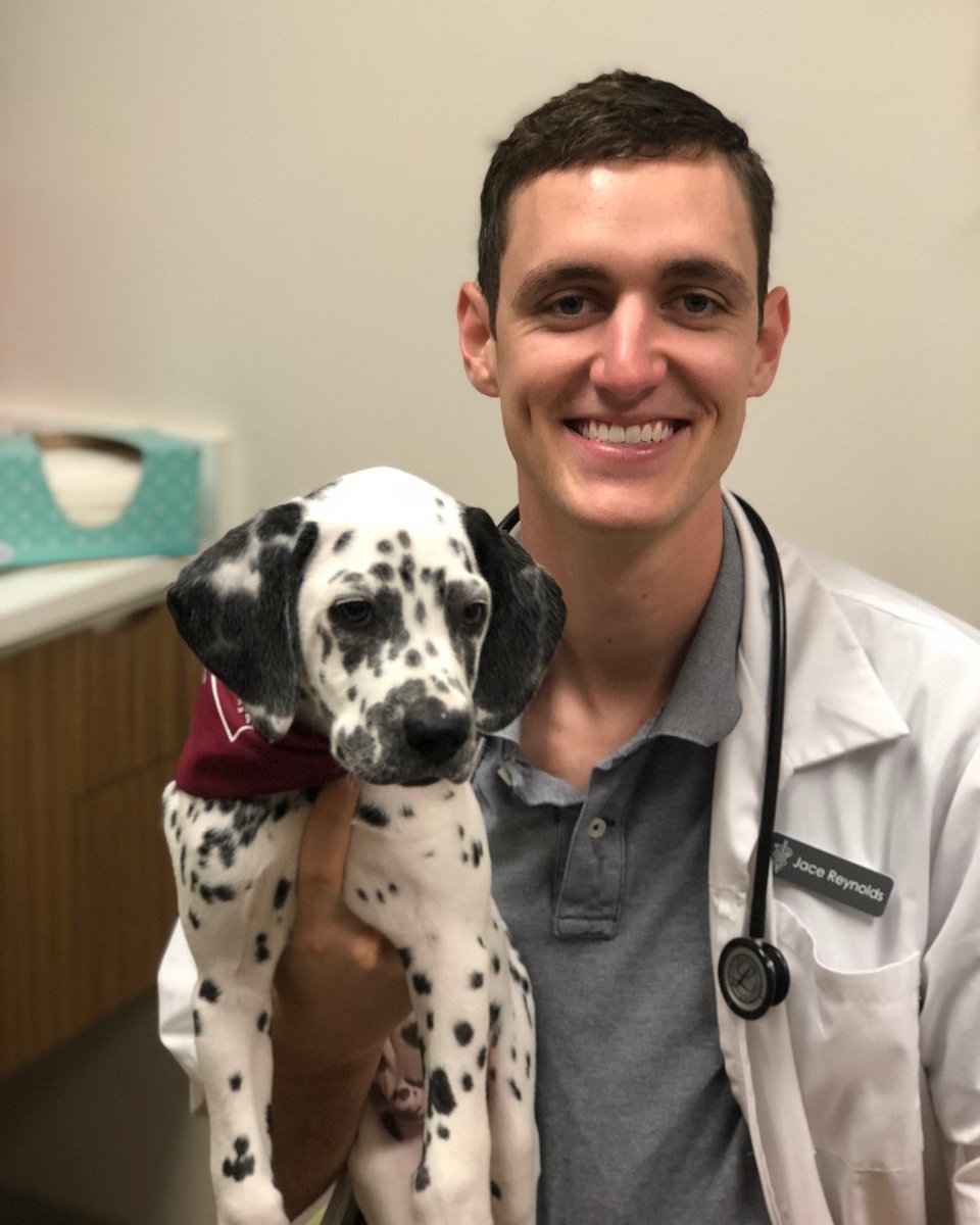 TAMUVMTH's tweet photo. Jethro is visiting the @TAMU Small Animal Hospital for his puppy check-up and vaccinations with our Primary Care Team.

Jethro already has his first Aggie Bandanna.  Whoop! https://t.co/3ipA8DFC2E