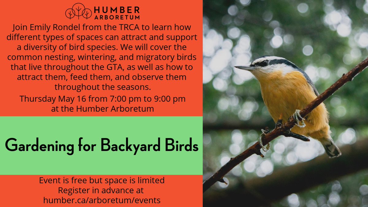 Backyard Bird Centre Pet Stores 249 Newport Drive Port Moody