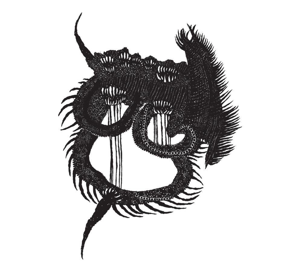 Album you should be listening to of the day!

<a href="/StomachEarth/">Stomach Earth</a>