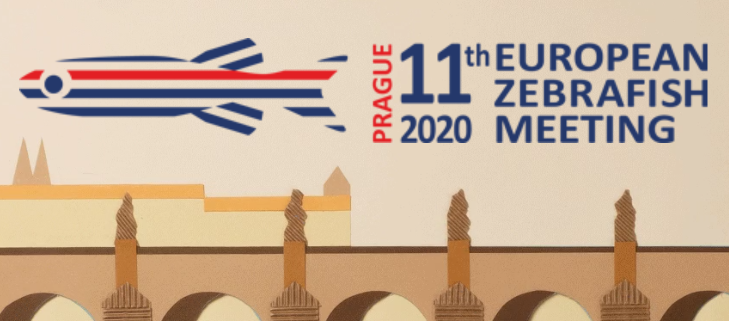 ZebrafishRock's tweet photo. Save the date! 11th European Zebrafish Meeting. June 29-July 2, 2020. Prague, Czech Republic. For more info, visit the conference website at https://t.co/ifnOh73htg #zebrafish #ZebrafishCon https://t.co/GX7IQYCvxf